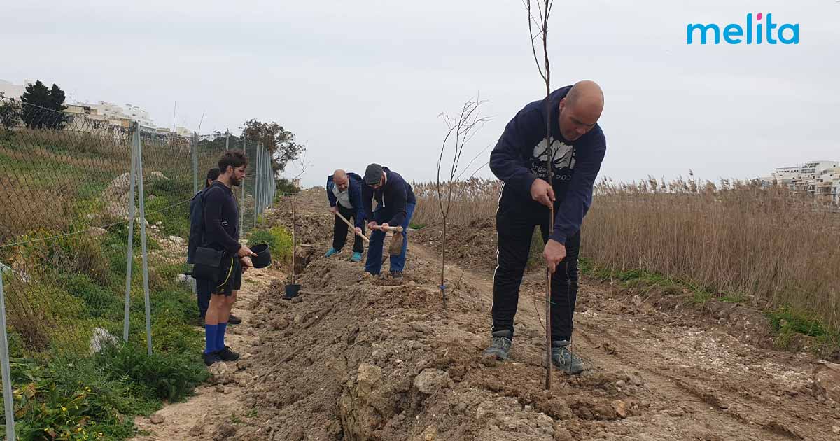 Birds at Salina Nature Park get extra tree shelter